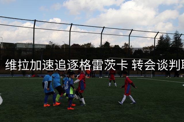 维拉加速追逐格雷茨卡 转会谈判取得积极进展